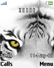 Tiger Eye -  1