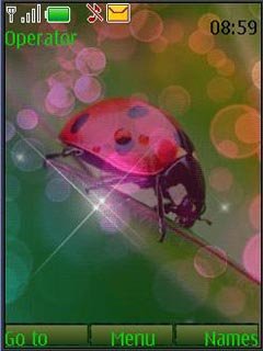 Ladybird Animated -  1
