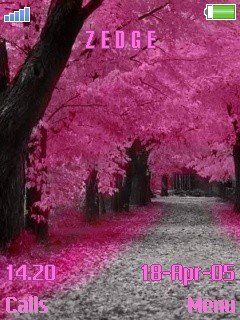 Pink Autumn -  1