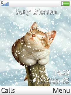 Cat In Snow -  1
