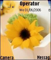 Sun Flower -  1