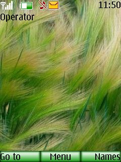 Green Feather -  1