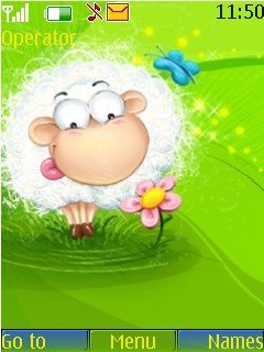 cute sheep -  1