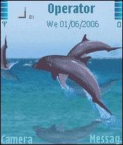 Animated Dolphins -  1
