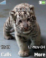 White Tiger Cub -  1