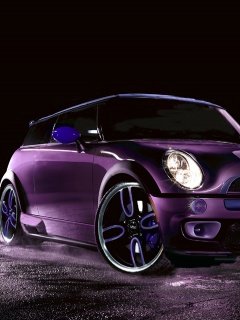 Purple Cooper -  1