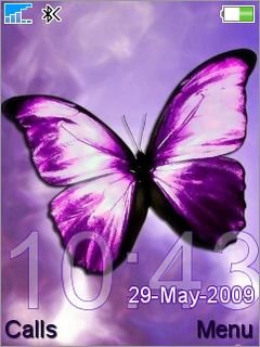 Violet Butterfly -  1