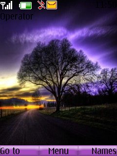 Purple Nature -  1