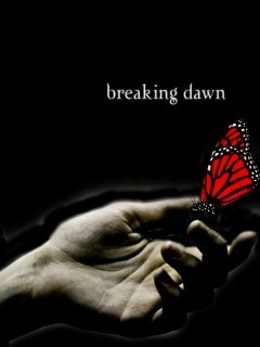Breaking Dawn -  1
