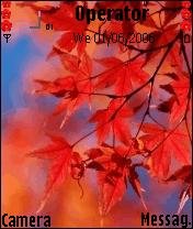 Red Leaf -  1