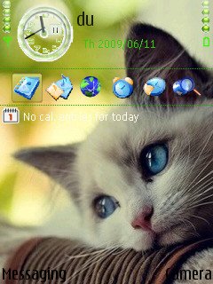 Blue Eye Cat -  1