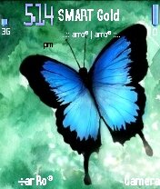 Blue Butterfly -  1