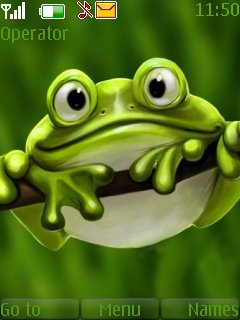 Cute Frog -  1