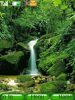 Forest Waterfall -  1