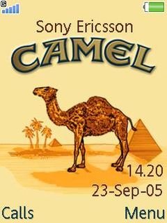 Flash Menu Camel -  1
