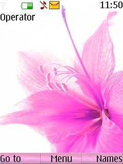 Pink Flower -  1