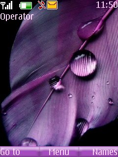 Purple Feather -  1