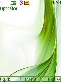 Simple Green -  1