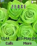 Green Roses -  1