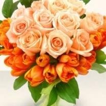 Orange Roses -  1