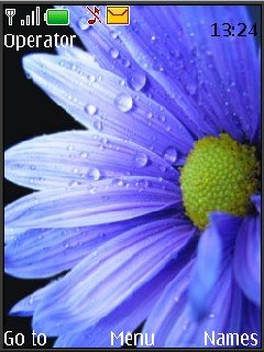 Blue Flower -  1