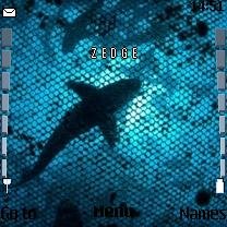 Shark -  1