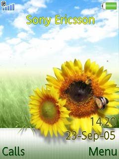 Sunflower -  1