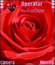 Red Rose -  1