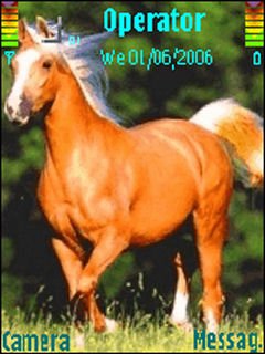 Horse-n95 -  1
