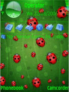 Ladybugs -  1