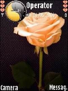 Lovely Rose For N95 -  1