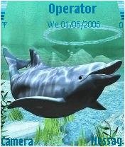 3d Dolphin -  1