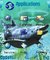 3d Dolphin -  2