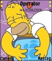 Homer Loves Tv -  1