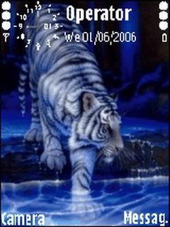 Blue Tiger -  1