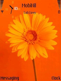 Orange Flower -  1