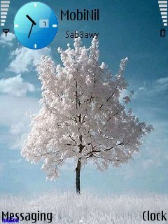 Winter Tree -  1