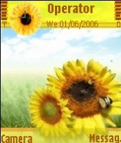 Sun Flower -  1