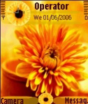 Sun Flower  -  1