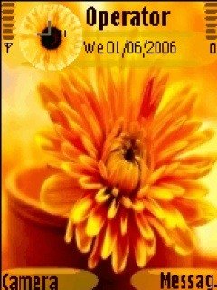 Sun Flower -  1