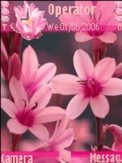 Pink Flower -  1