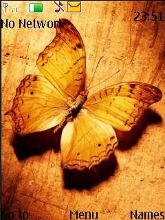 Wood Butterfly -  1