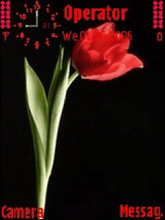 Red Tulip -  1