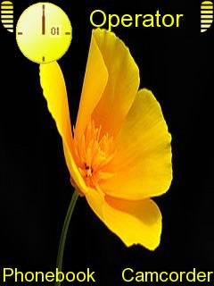 Yellow Flower  -  1