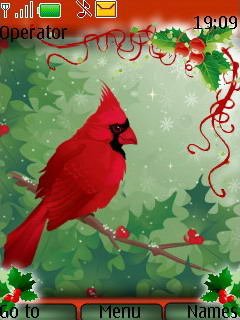 Christmas Cardinal -  1