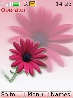 Pink Flower -  1