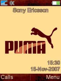 Brown Puma -  1