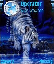 White Tiger -  1