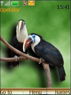 Tucan -  1