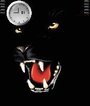 Black Tiger -  1